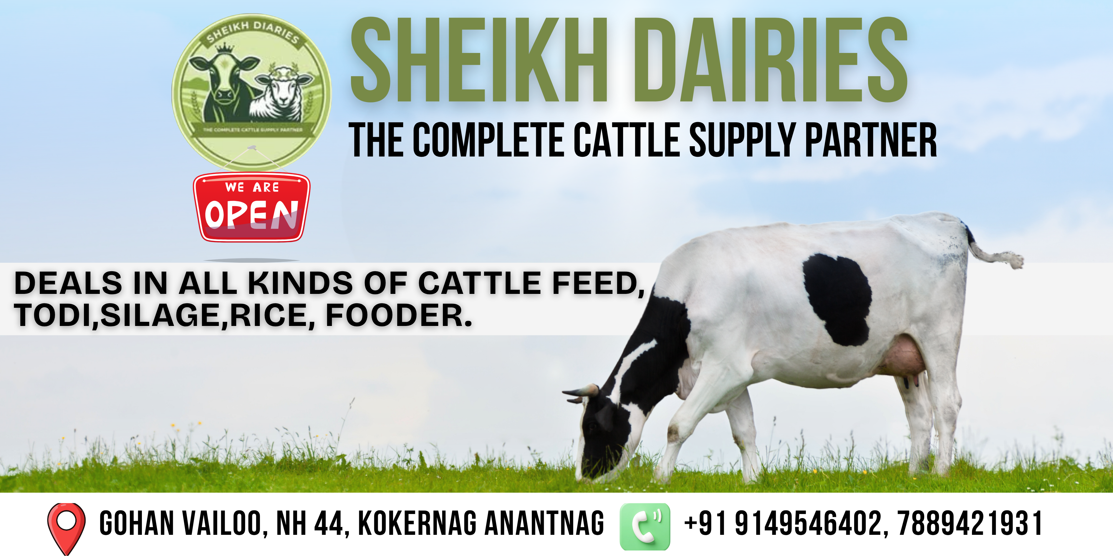 Banner Design Service